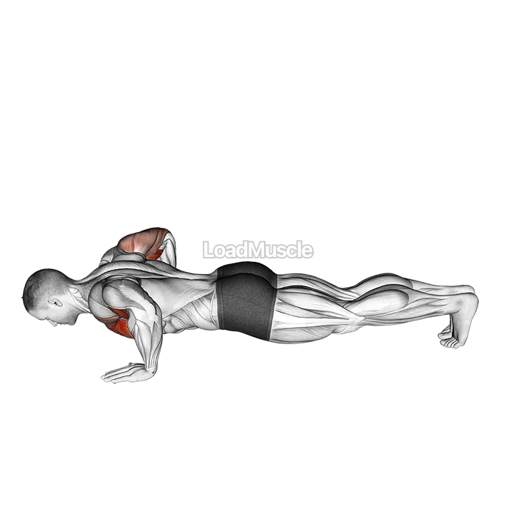 Chest Tap Push-up demonstration