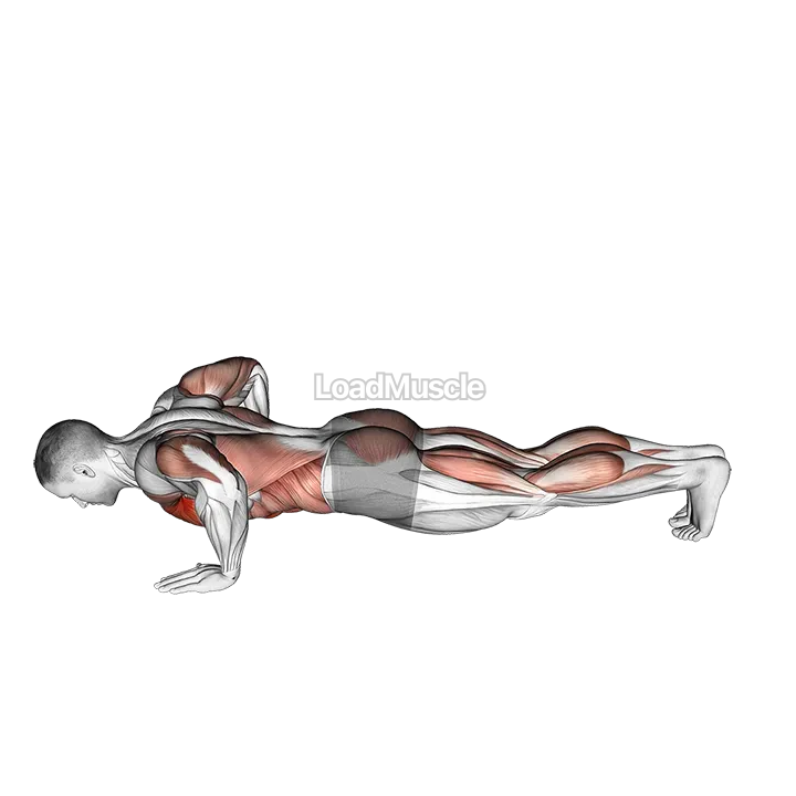 Modified Hindu Push-up demonstration