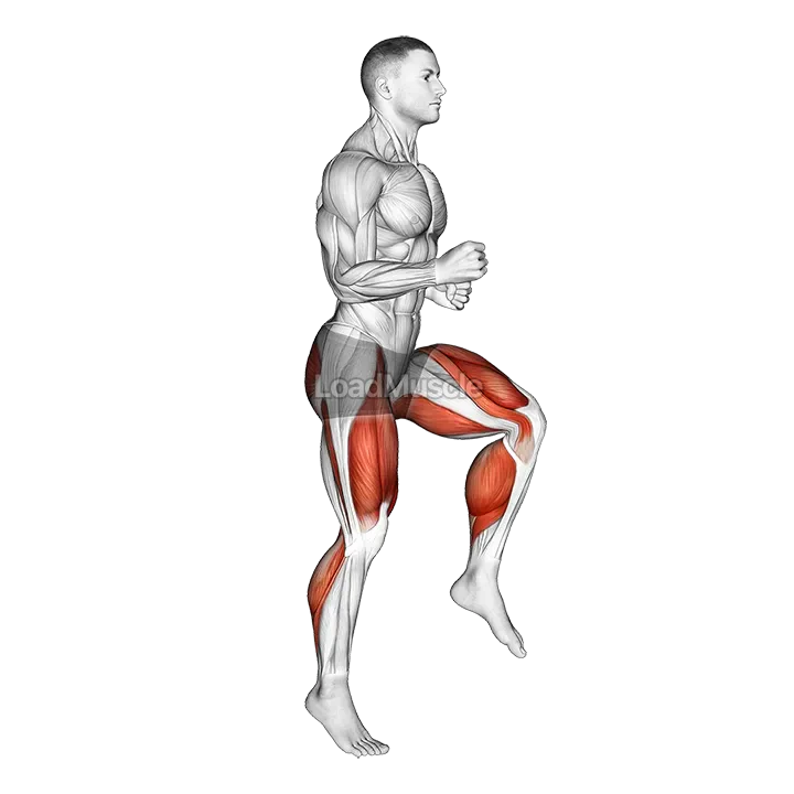 Half Knee Bends demonstration