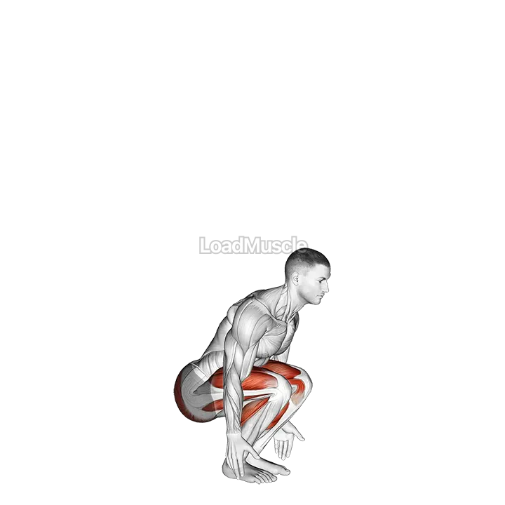 Semi squat Jump demonstration