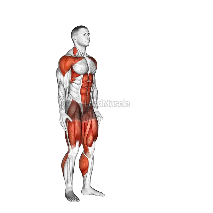 Jack Jump demonstration