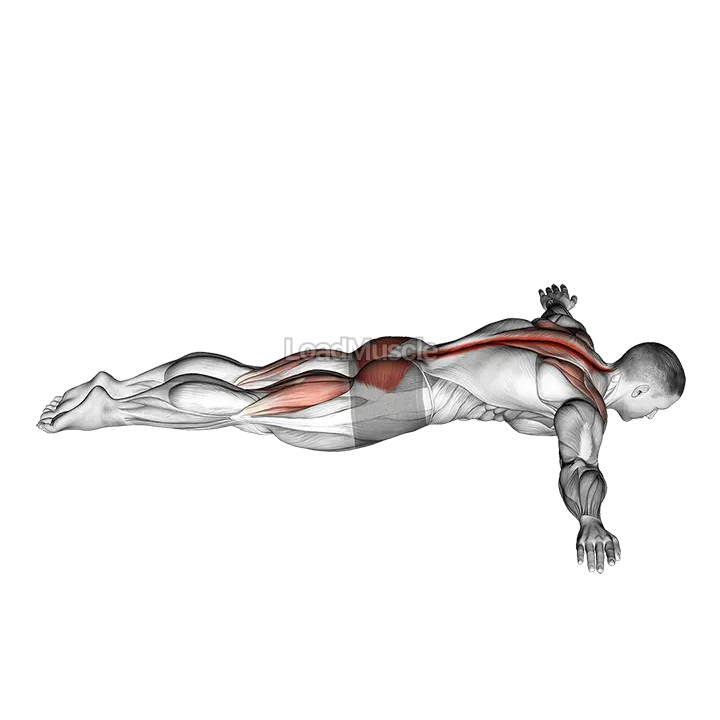 Floor T Raise demonstration