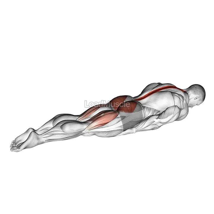 Prone Cobra Palms Under Thighs demonstration