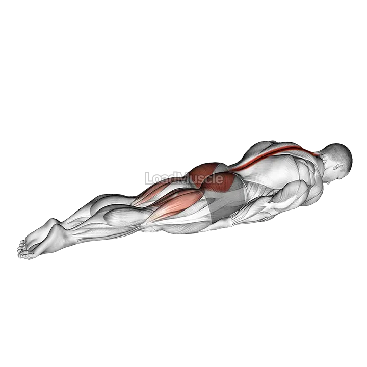 Swimmer Kicks demonstration