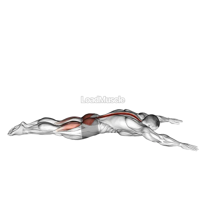 Lying Back Extension with Press demonstration