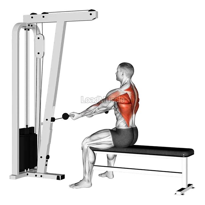 Cable Seated Supine grip Row demonstration