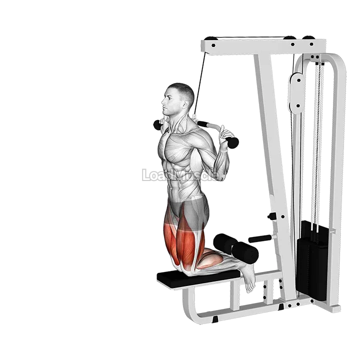 Cable Assisted Inverse Leg Curl demonstration