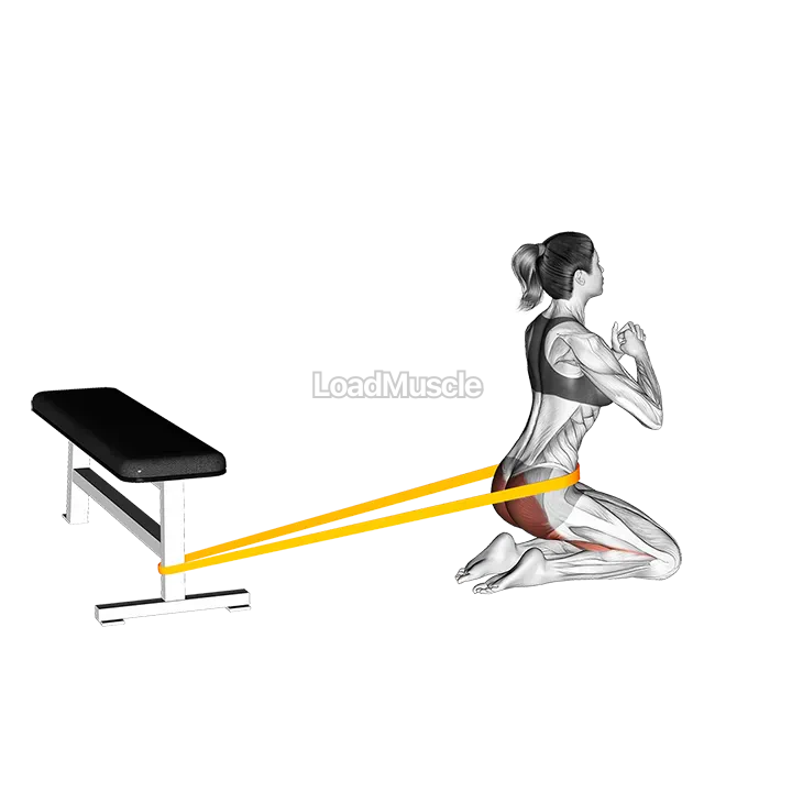 Resistance Band Hip Thrusts on Knees demonstration