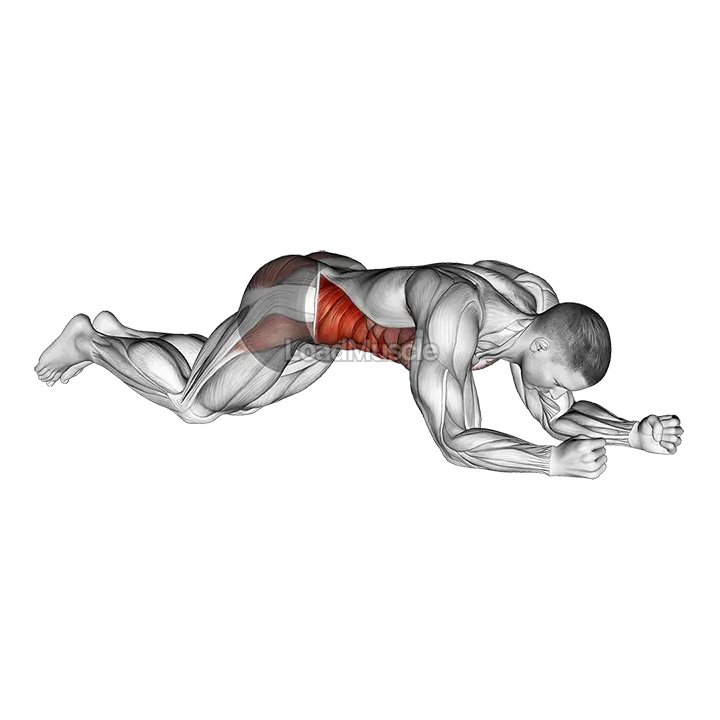 Kneeling plank demonstration