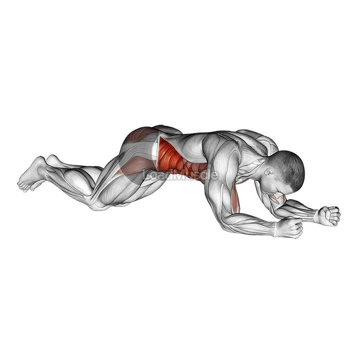 Kneeling Plank Tap Shoulder demonstration