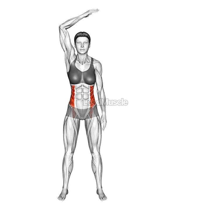 Standing Two Side Bend (bent arm) demonstration