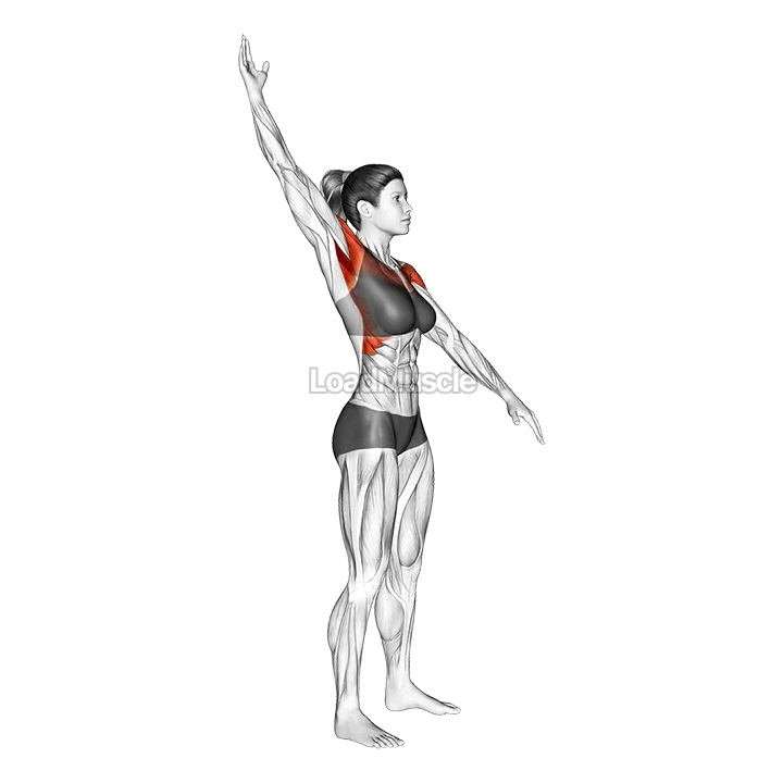 Standing Alternate Arms Circling demonstration