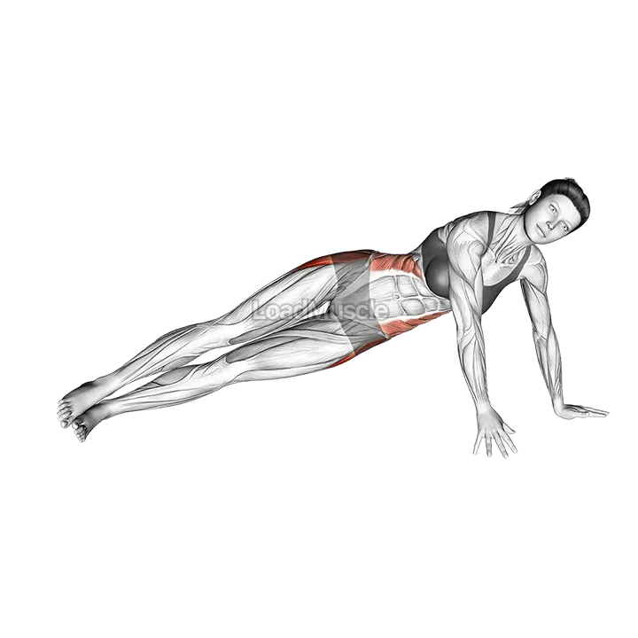 Side Plank Leg raise demonstration