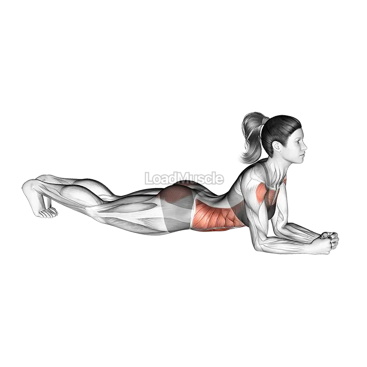 Elbow Push up demonstration