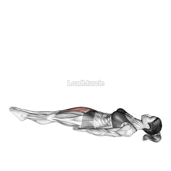 Lying Single Leg Raise demonstration