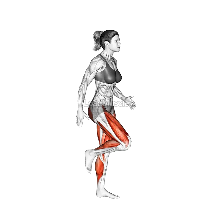 Run and Hop demonstration