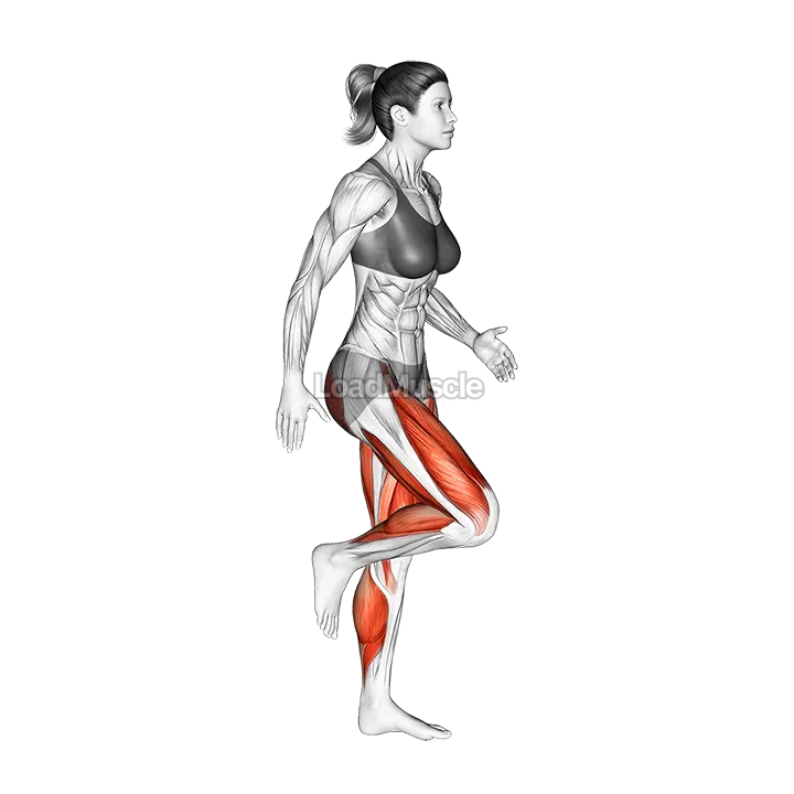 Run and Half Knee Bend demonstration