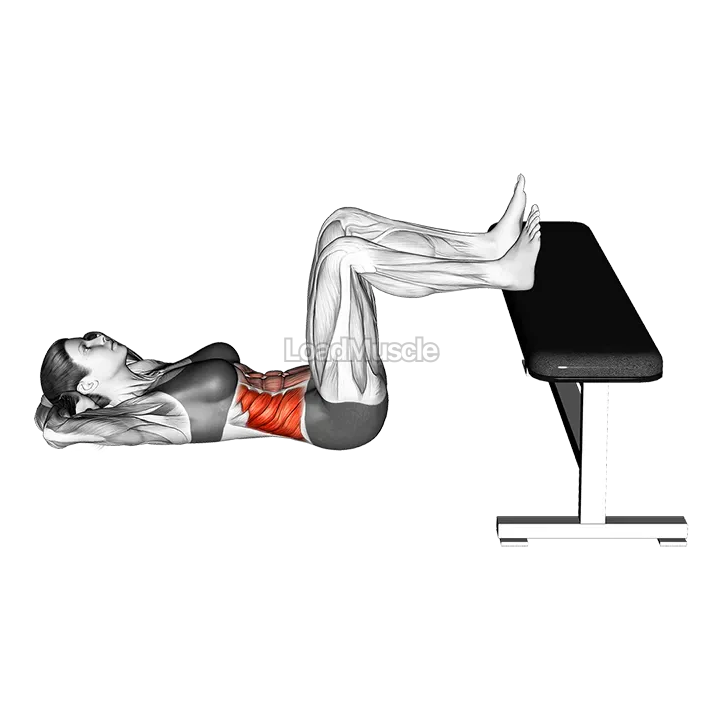 Floor Twisting Crunch Feet on Bench demonstration