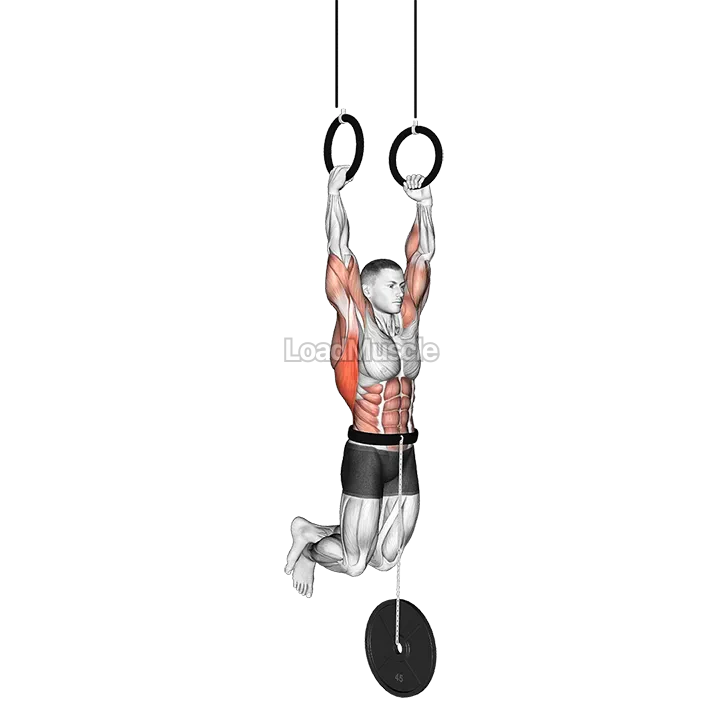 Weighted Muscle-up demonstration