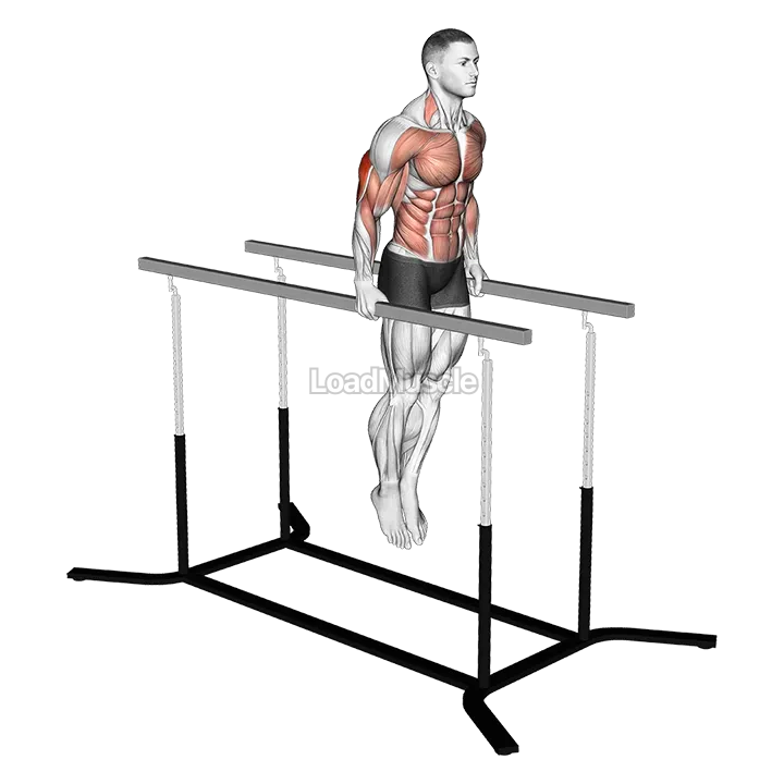 Elbow dips demonstration