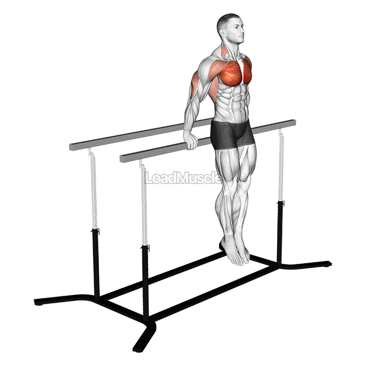 Korean dips demonstration