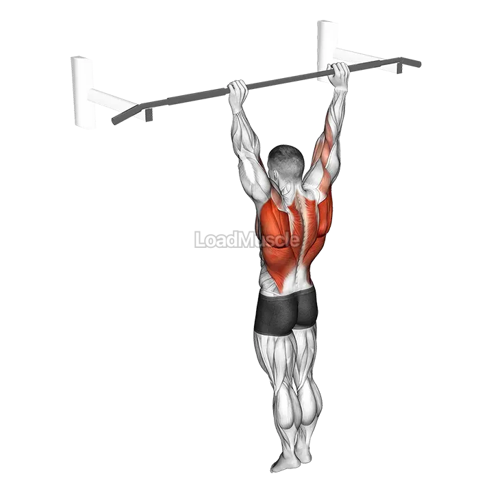 Archer Pull-up demonstration