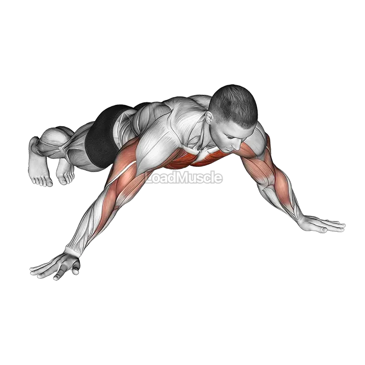 Archer Push-up demonstration