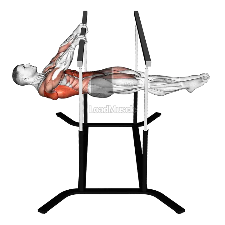 Front Lever Reps demonstration