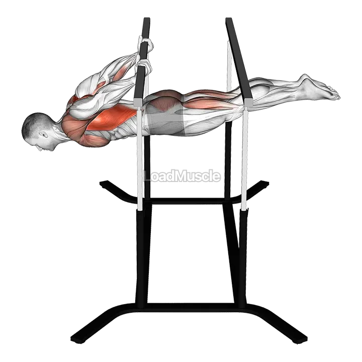 Back lever demonstration