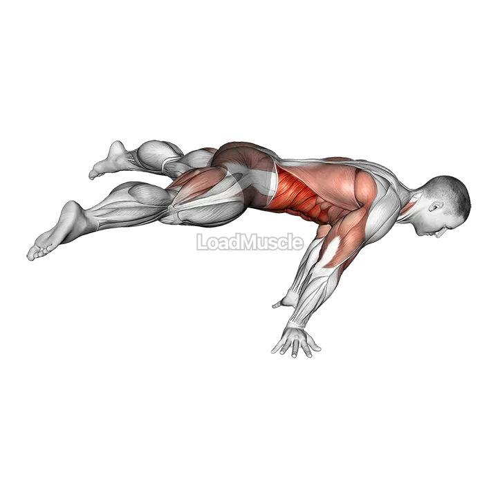 Straddle planche demonstration