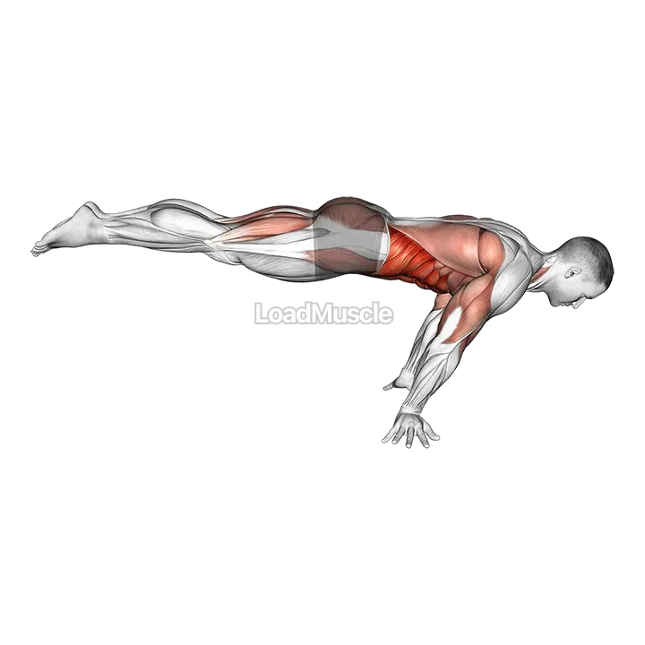 Full planche demonstration