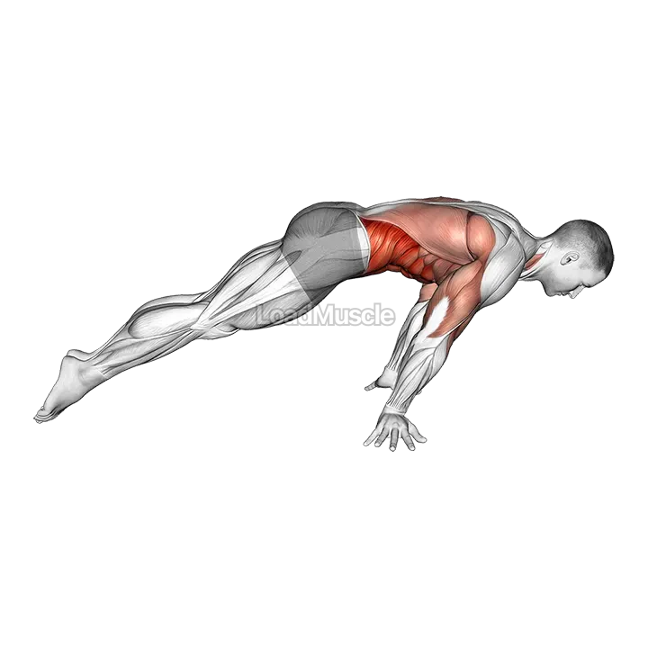 Lean planche demonstration