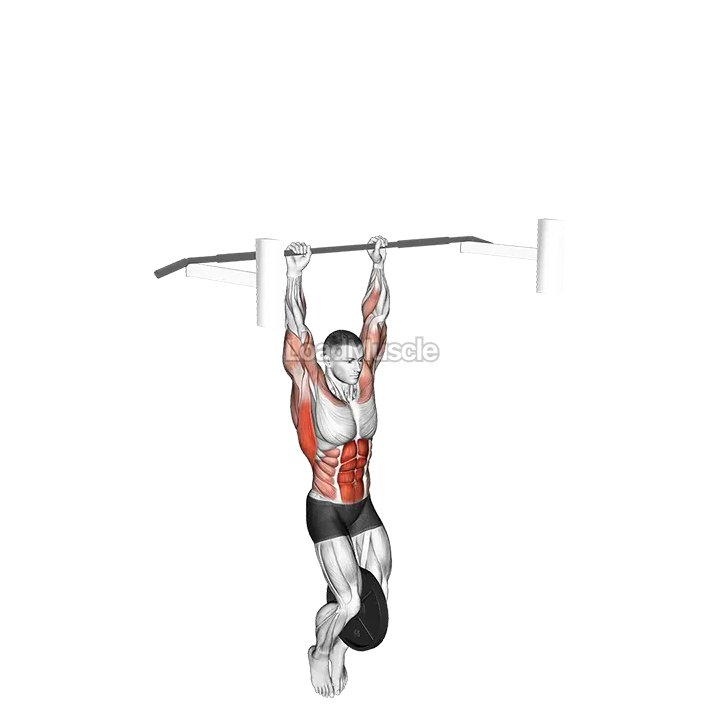Weighted Muscle-up (on bar) demonstration
