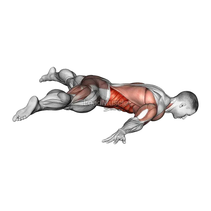 Straddle Maltese demonstration