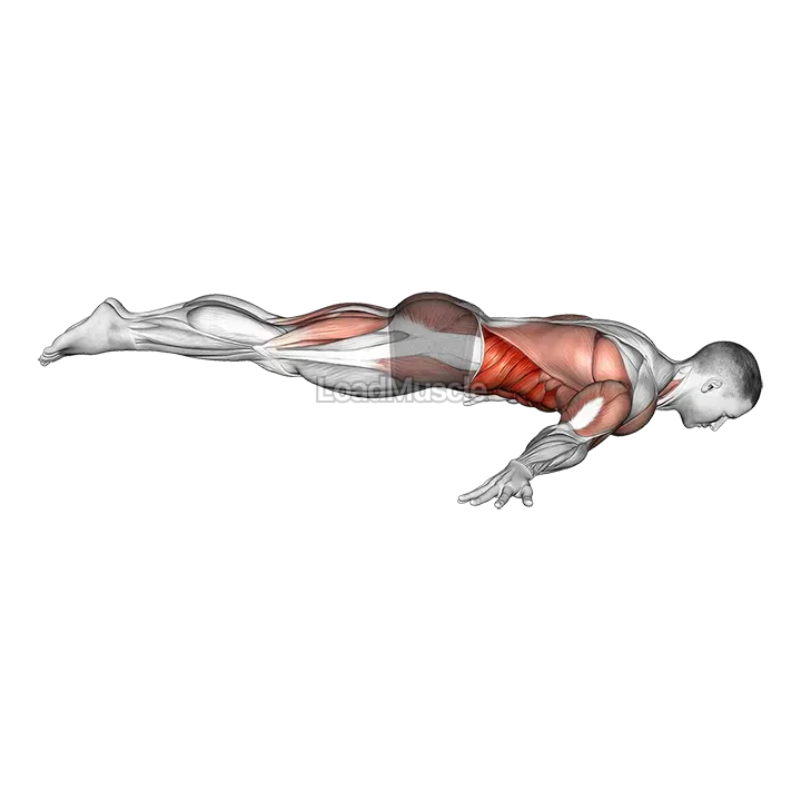 Full Maltese demonstration