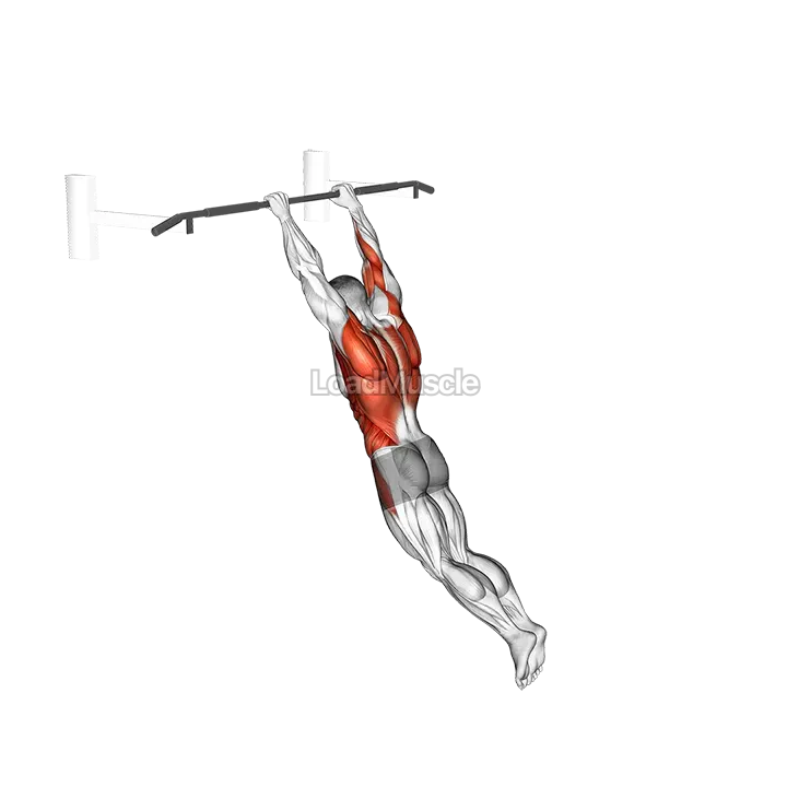 Swing 360 demonstration