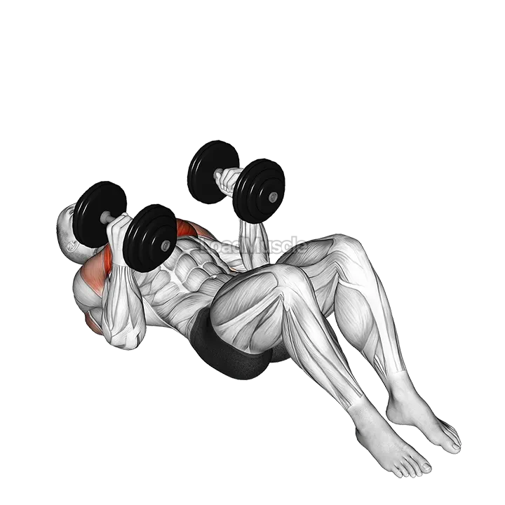 Dumbbell Lying on Floor Hammer Press demonstration