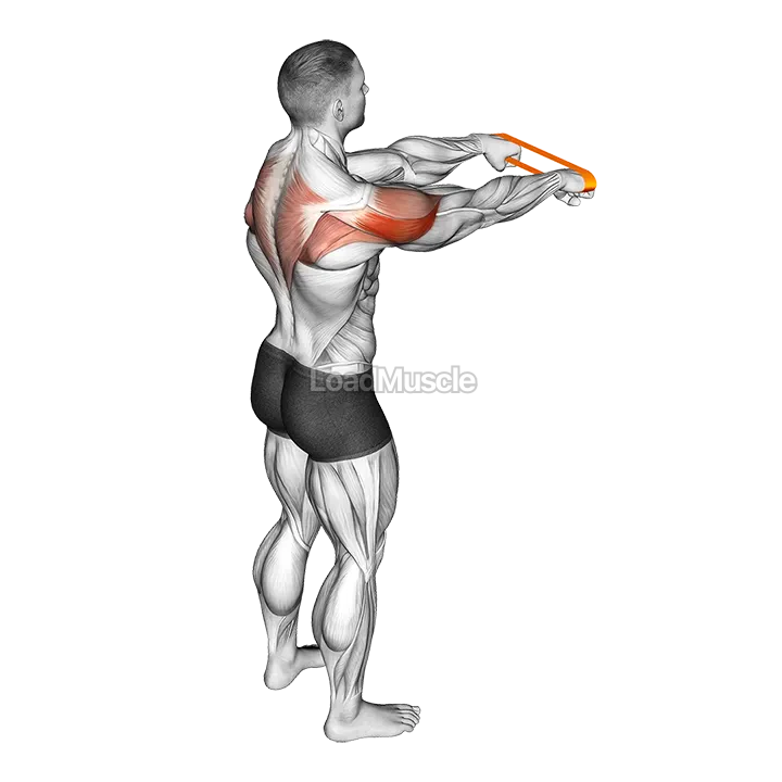 Resistance Band Rear Fly demonstration