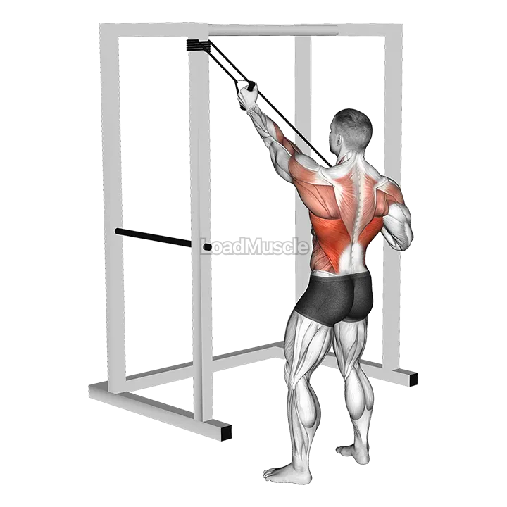 Band Alternate Lat Pulldown with Twist demonstration