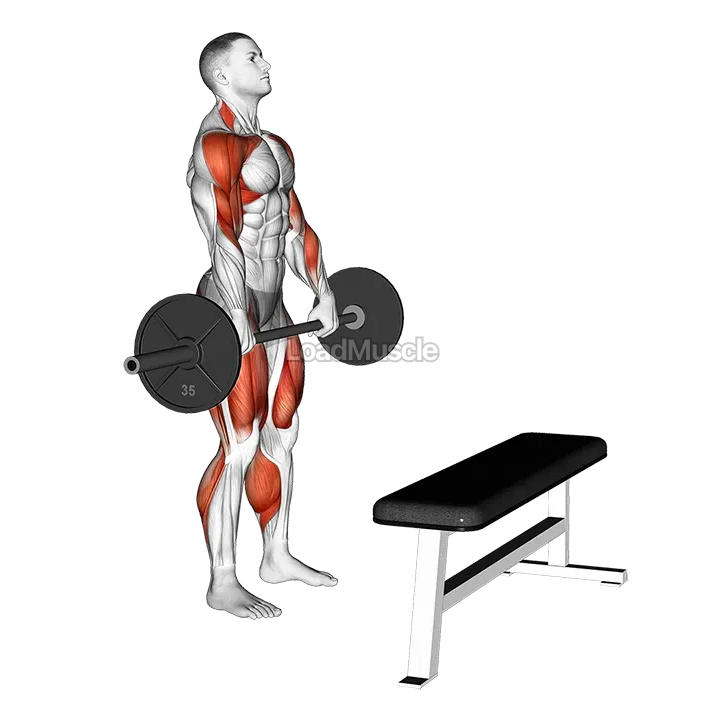 Barbell Complex Stiff Leg Deadlift Clean Step demonstration