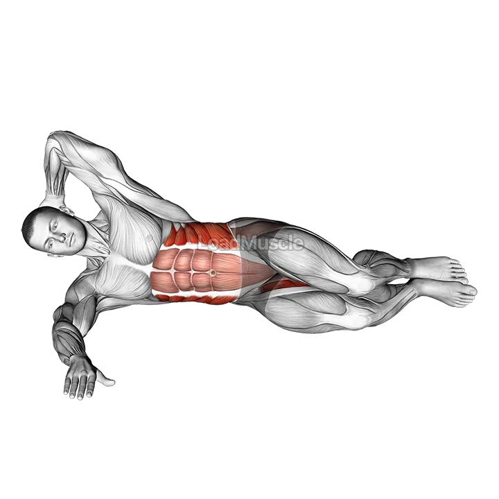 Oblique Crunches with Bent Knee Leg Lift demonstration