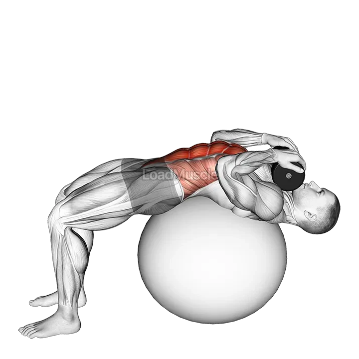 Weighted Stability Ball Crunch (Full range) demonstration