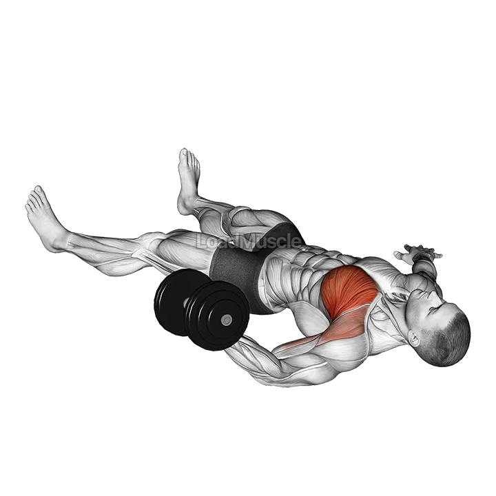 Dumbbell One Arm Floor Fly demonstration