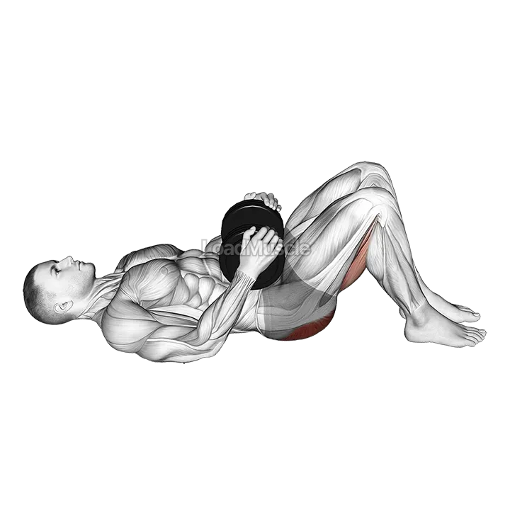 Dumbbell Glute Bridge demonstration