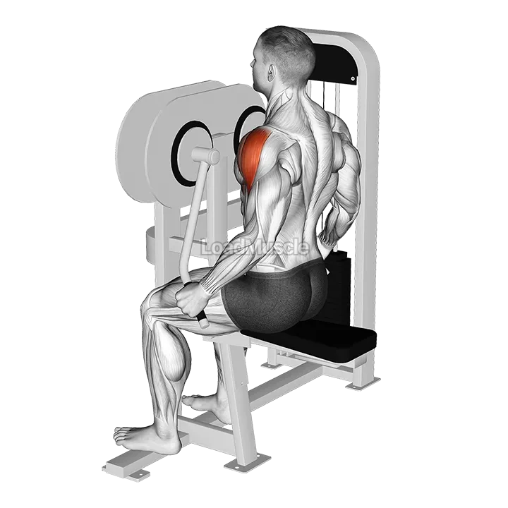 Lever Lateral Raise demonstration