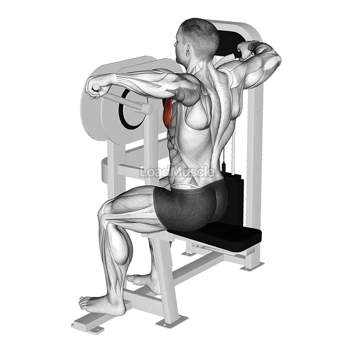 Lever Crossovers demonstration