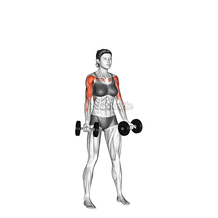 Dumbbell Curl to Press demonstration