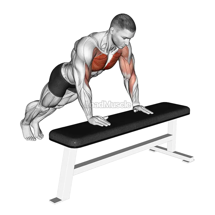 Incline Shoulder Tap demonstration