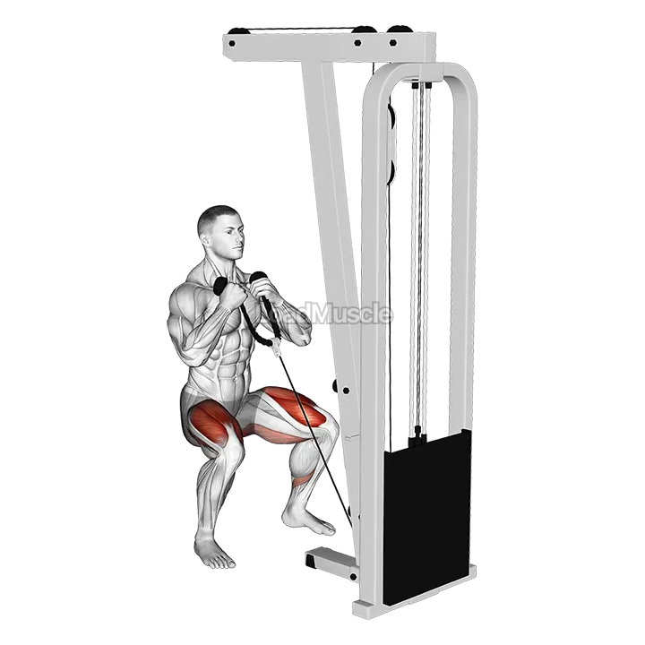 Cable Front Squat demonstration