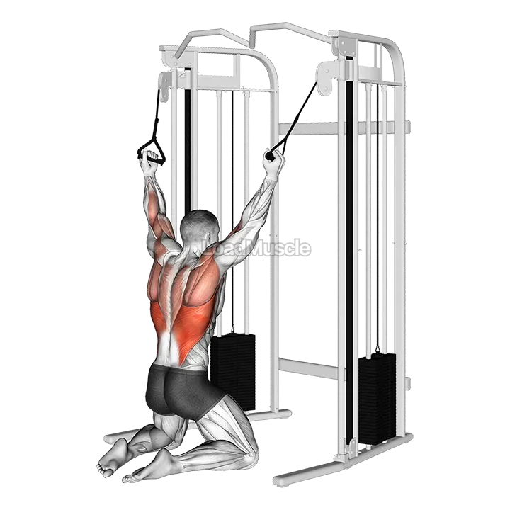 Cable Parallel Grip Lat Pulldown on Floor demonstration